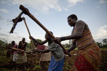 people ploughing